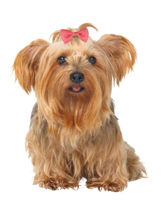 Trixie York Major Dog Bow