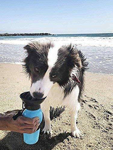 Fio Пластмаса Бутилка Вода за Куче & Котка 500мл в Син Цвят