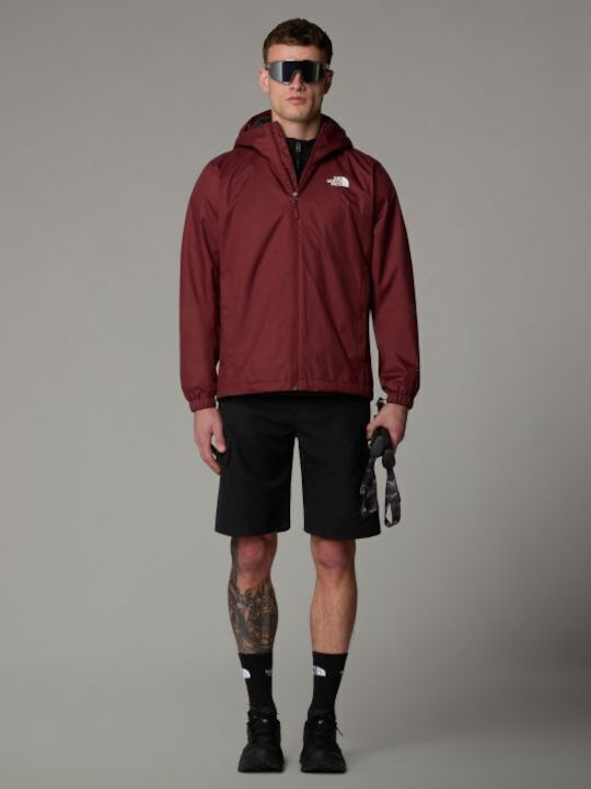 Men's Shorts Tnf Black