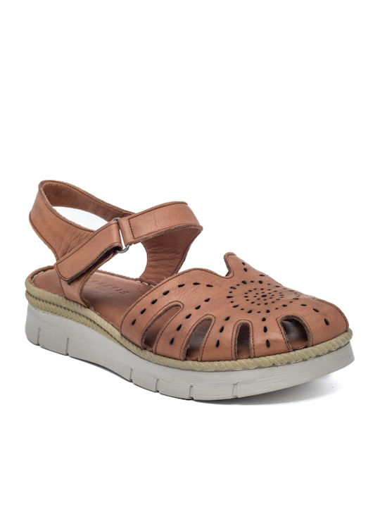 Air Anesis