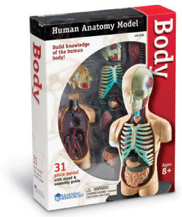 Learning Resources Human Body Εκπαιδευτικό Παιχνίδι Γνώσεων για 8-12 Ετών