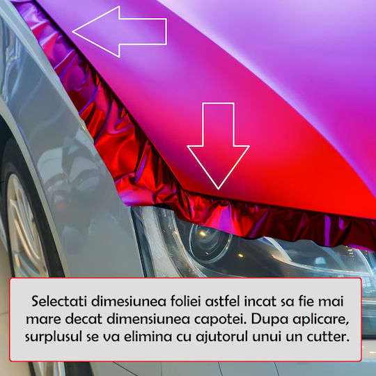 Autocolant Capotă "Artă Capotă" Rezistent la Exterior Mărime S 150 X 110cm Cod Avx-capota-012s