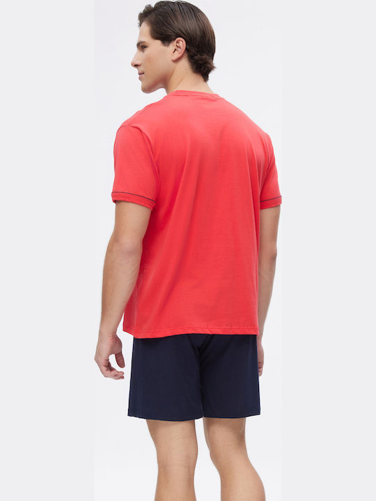 Minerva Red