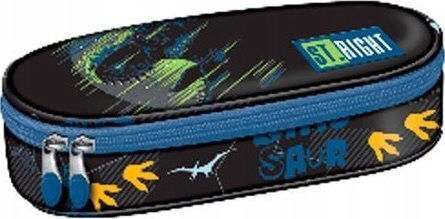 Pencil Case Stiffened Sachet Inner Flap St.right Pc-01 Dinosaur