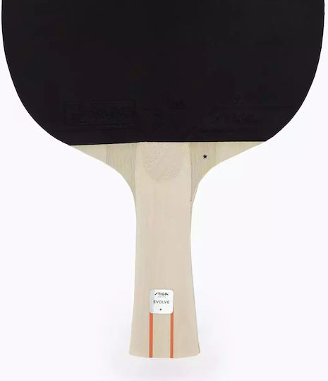 Stiga Evolve Ρακέτα Ping Pong για Αρχάριους Παίκτες