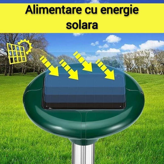 Set of 2 Solar Lights