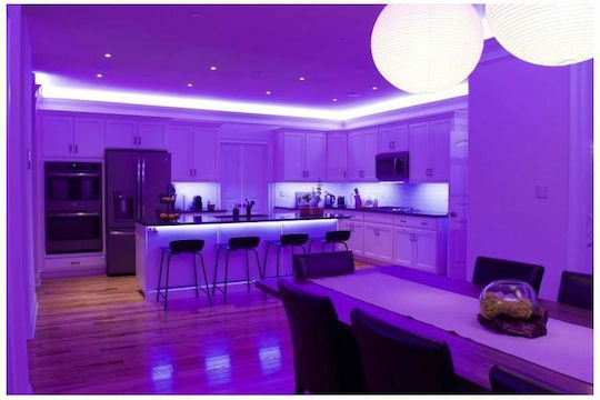 LED Strip 12V RGB Light 5m Type SMD5050 with Power Supply & Remote Control