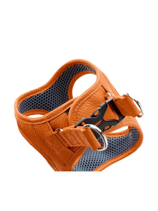 Δερμάτινο Σαμαράκι Hunter Harness Geschirr Hilo 37-40/xs-s Orange