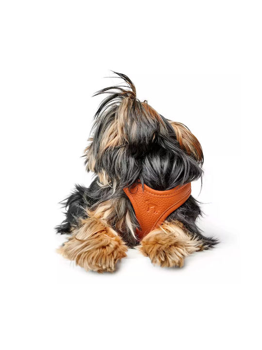 Δερμάτινο Σαμαράκι Hunter Harness Geschirr Hilo 37-40/xs-s Orange