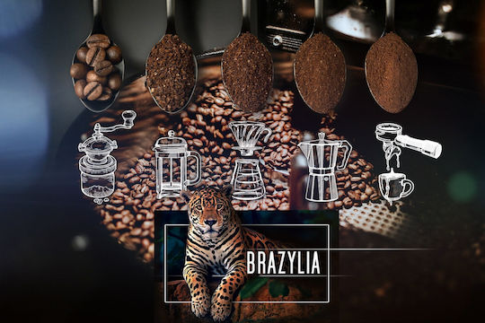 Eight Cafe Καφές Espresso Robusta Brazil σε Κόκκους 1kg
