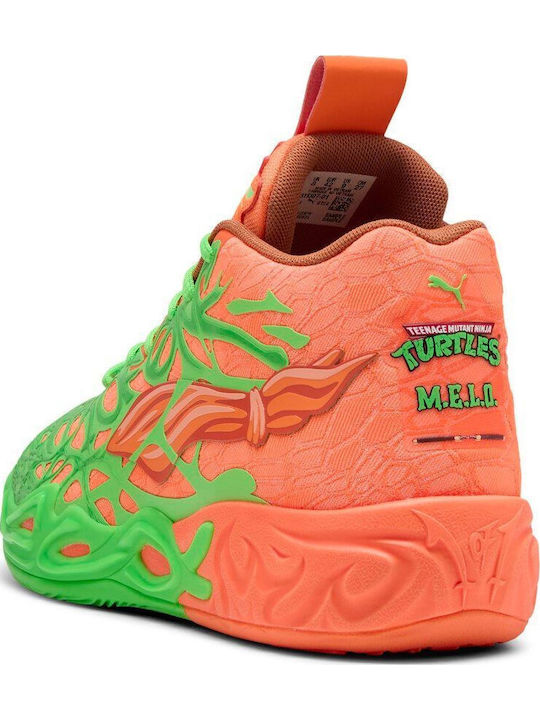 Hoch Basketballschuhe Mehrfarbig