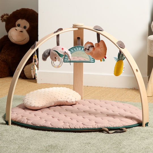 Ludi Baby Activity Gym for 6+ Months