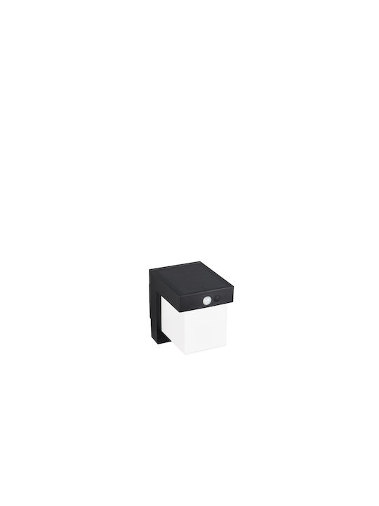 Trio Lighting Wall-Mounted Outdoor Light