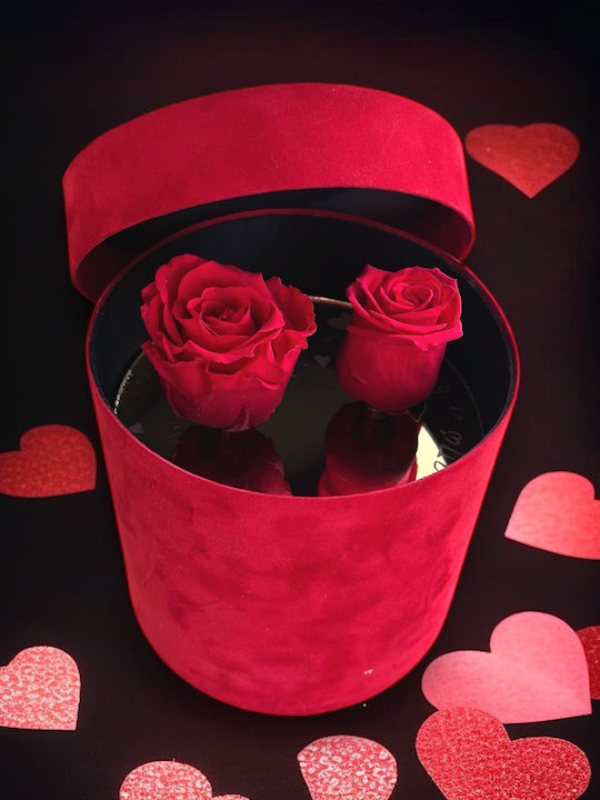 Samtrote Box mit 2 ewigen Rosen
