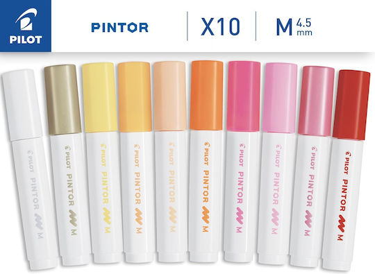 Pilot Pintor Medium Markere de Proiectare Multicolor 10buc