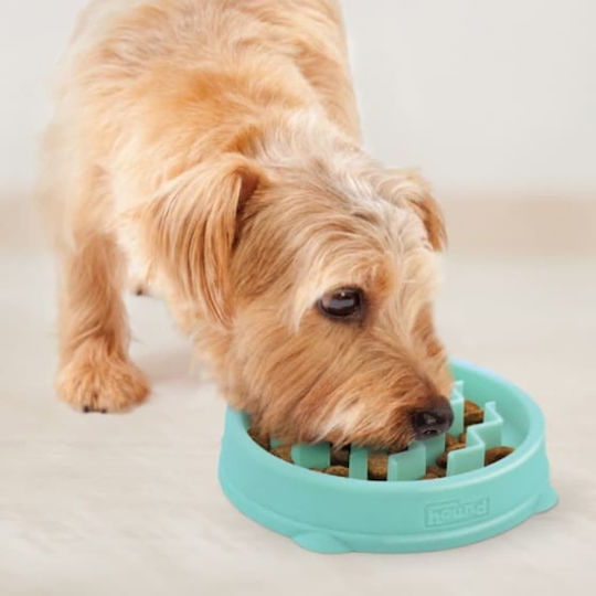 Bol pentru hrănire lentă a câinilor Outward Hound, plastic, verde