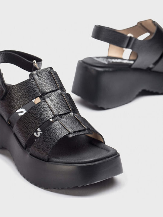 Platforme Dama Negre