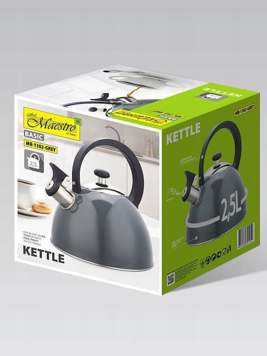 Maestro Βραστήρας Ανοξείδωτος Γκρι 2500ml