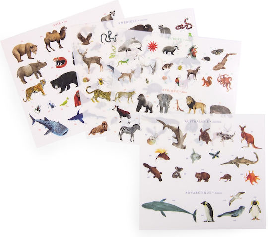 World Map Transfer Game Moulin Roty
