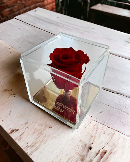 Lifeliles Forever Rose Beste Lehrerin