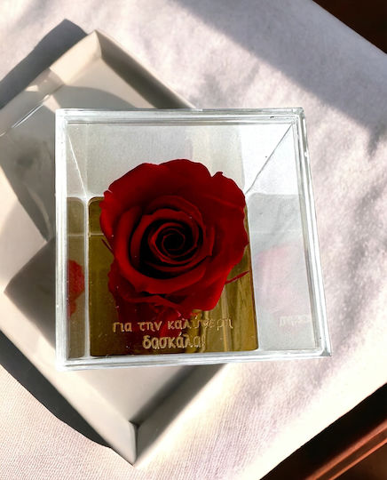 Lifeliles Forever Rose Beste Lehrerin