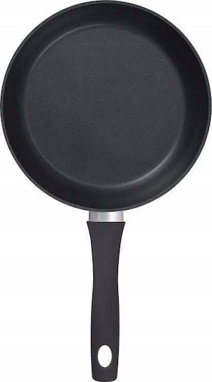 Professional Skillet 24 Cm