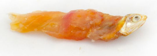 Alda Dog Treat with Fish, Chicken and Meat 500gr