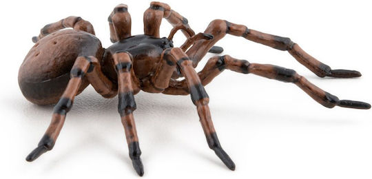 Spider Figurina Chat