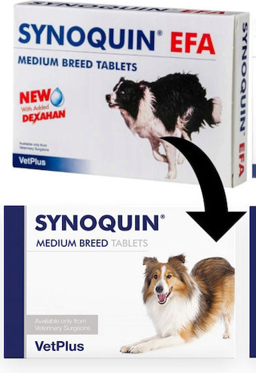 Vet Plus Synoquin Πολυβιταμίνες Σκύλου σε Δισκία 30 tabs για Αρθρώσεις