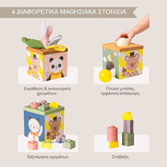 Taf Toys Activity Cube Play & Discover Cube Wooden with Sounds for 6+ Months