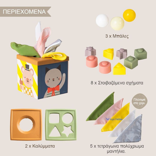 Taf Toys Activity Cube Play & Discover Cube Wooden with Sounds for 6+ Months
