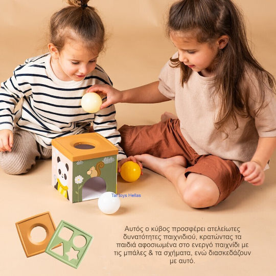 Taf Toys Activity Cube Play & Discover Cube Wooden with Sounds for 6+ Months