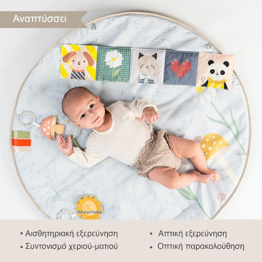 Taf Toys Activity Gym with Music for Newborns