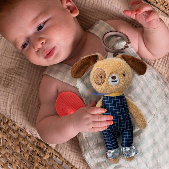 Taf Toys Hanging Toy Rattle Teether Daniel