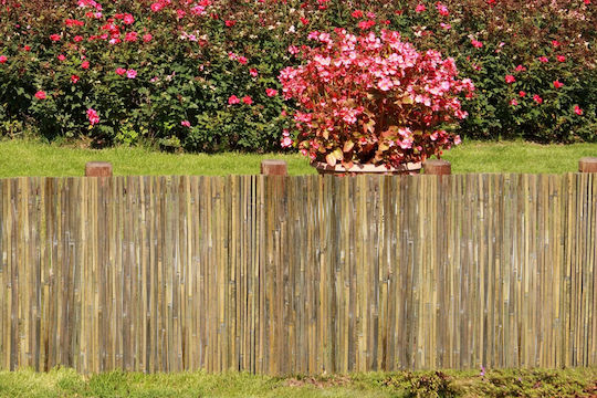 General Trade Bamboo Fencing with Whole Reed 1x3m