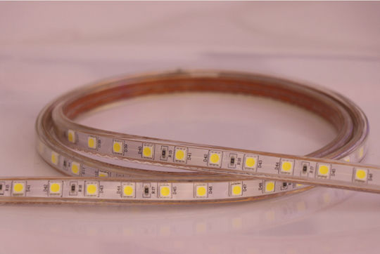 Universe Αδιάβροχη Ταινία LED 220V Φυσικό Λευκό Φως 1m Τύπου SMD5050