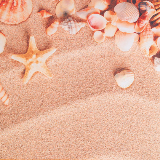 Πετσέτα Θαλάσσης Microfiber 75x150cm Σx Shells 100% Polyester
