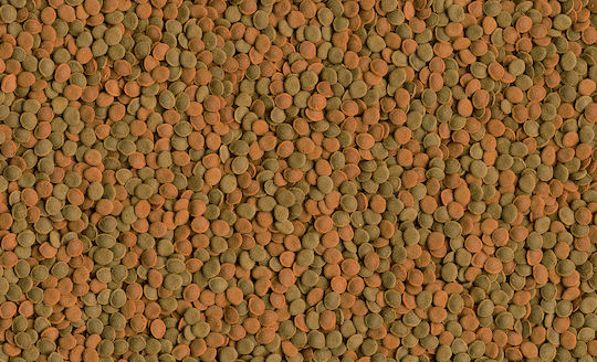 Tetra Shrimp Food Granules with Spirulina 1000ml 15gr