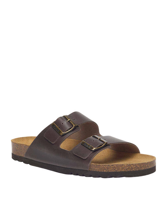 Scholl