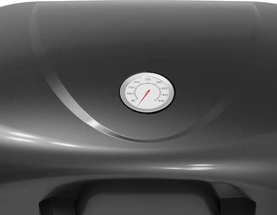 Thermogatz GS GRILL 2 + Plancha Ψησταριά Υγραερίου με 2 Εστίες 5kW και Πλαϊνό Μάτι 3kW