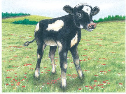 Детски Пъзел Farm Animals Cube Puzzle за 3+ Години 9бр Goki