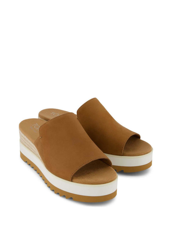 Toms