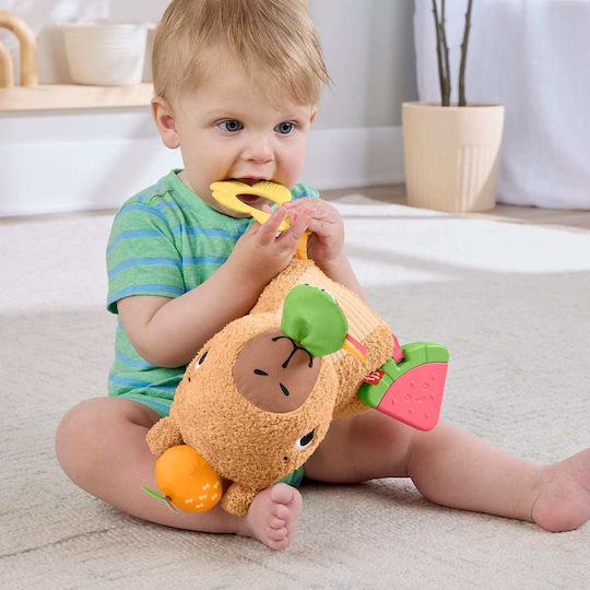 Fisher Price Capybara Animal Fabric with Sounds for 3+ Months