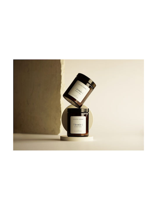 Ambientair Aromatic Candle in Jar with Blossom Perfume 135g
