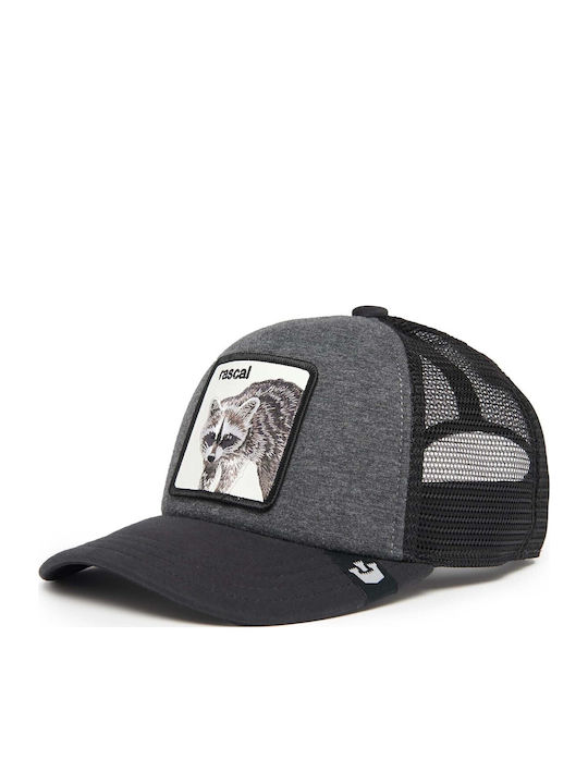 Goorin Bros Racacoonie Hat