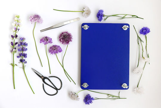 Kit de Presare Flori Printworks Presare Flori Albastru