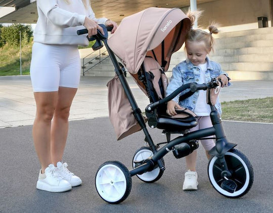 Lionelo Tricycle Convertible with Parental Handle 3 in 1 for 9 Months Pink