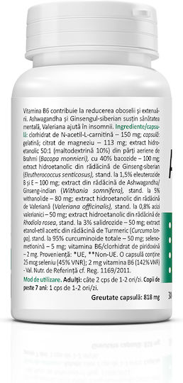 Zenyth AdaptoHelp Complex 150mg Supliment Pentru Memorie și Concentrare 30 Capsule