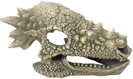 Amtra Dragon Skull Декоративна Череп за Аквариум