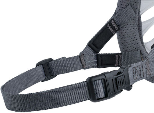 Company Animals Transparent Muzzle 2 S6105021